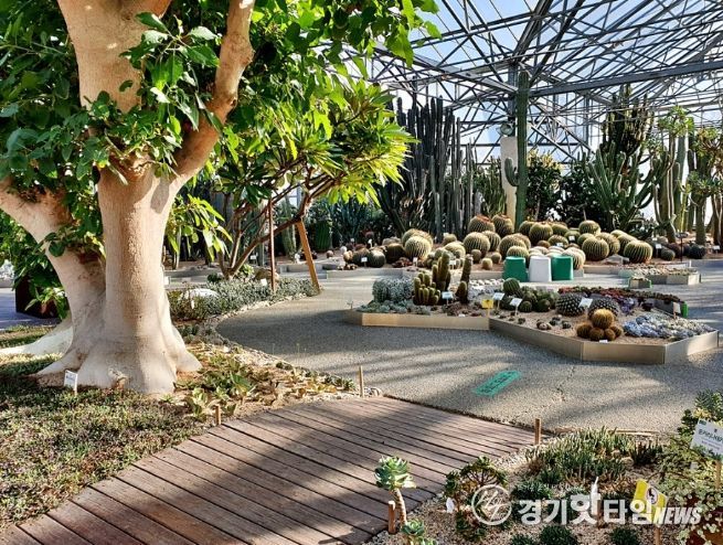 선인장전시관 내부