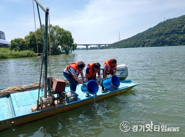 뱀장어 치어 방류