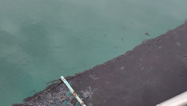 화성시 국화도 인근 해안서 덩어리 기름 발견…양식업 어민들 ‘초비상’