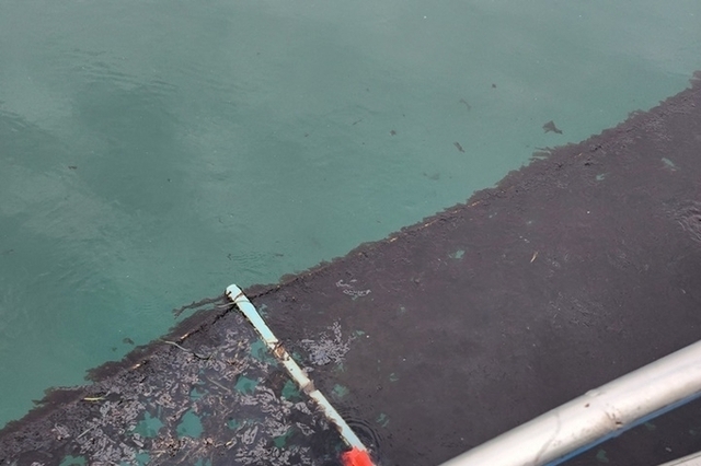 화성시 국화도 인근 해안서 덩어리 기름 발견…양식업 어민들 ‘초비상’