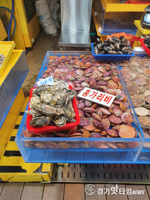 국내산으로 둔갑한 중국산 가리비