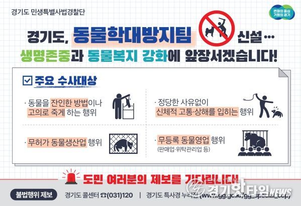 그래픽보도자료_동물학대방지