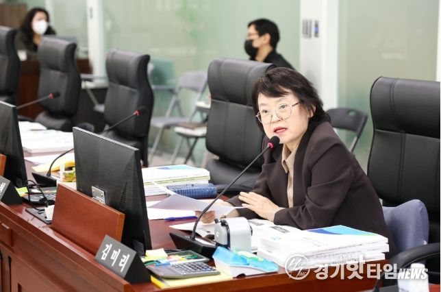 김미리 의원(개혁신당, 남양주2)