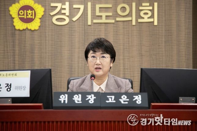 고은정 위원장(더불어민주당, 고양10)