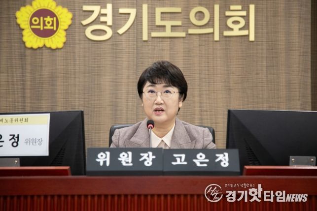 고은정 위원장(더불어민주당, 고양10)