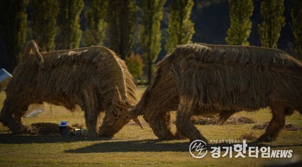 짚 황소 머리를 맞대고 싸우는 소를 짚을 활용하여 역동적으로 표현(사진제공=아름다운강천 사회적협동조합)