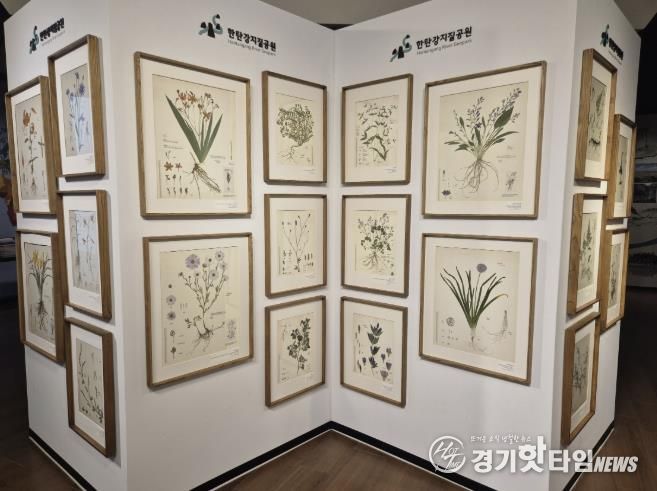 포천시, 한탄강의 아름다운 색채를 담은 압화 전시 개최