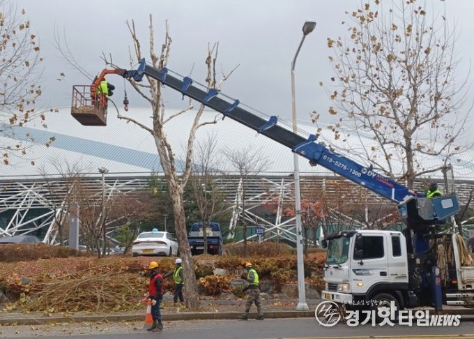고양시 일산서구, 교통흐름 방해 가로수 전정 완료