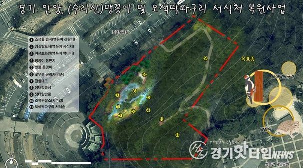 안양시, 병목안시민공원 맹꽁이・오색딱따구리 서식처 복원…국비 4.4억 확보