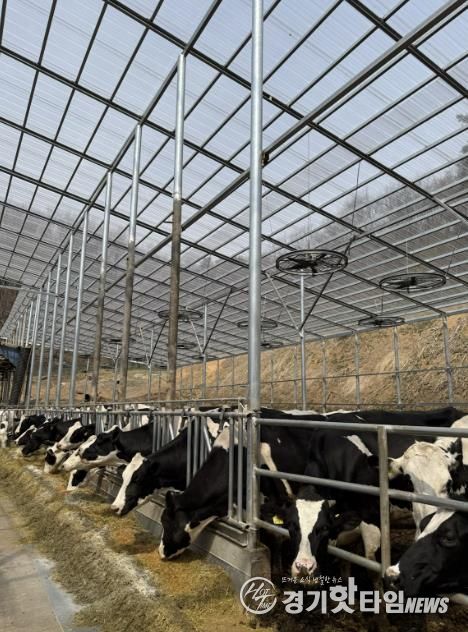 용인트례시가 '2026년 축산분야 생산지원사업' 희망 농가를 모집한다