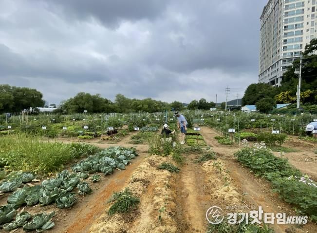 용인특례시는 오는 2월 3일부터 13일까지 용인시민농장에서 텃밭을 가꿀 도시농부 총 815팀을 모집한다