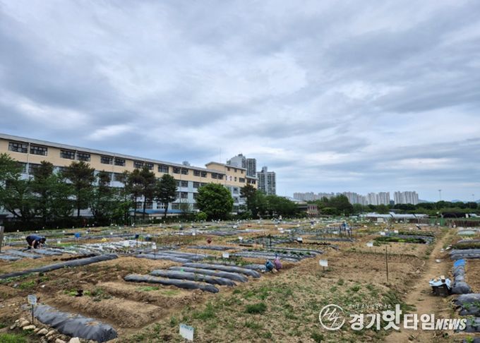 구리시, 「2026년 토평동 구리도시텃밭」운영