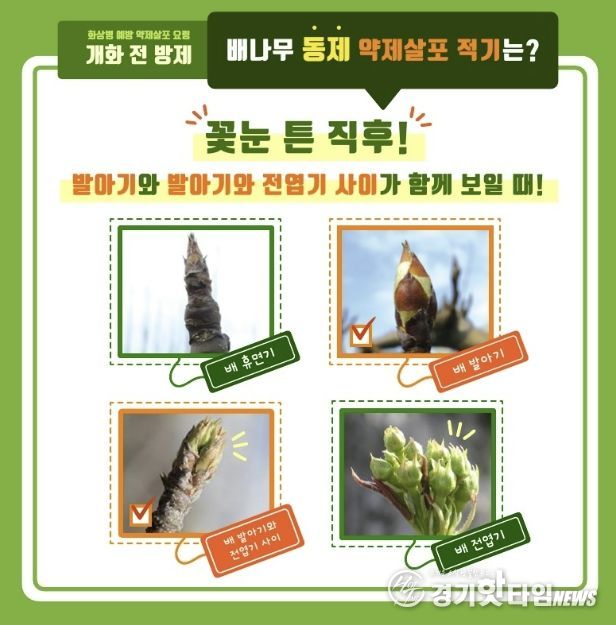 배 개화전 방제 안내문