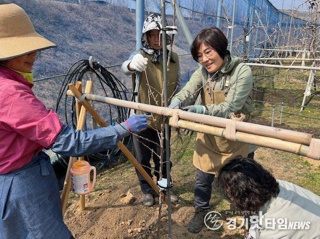 시민봉사단이 과수공원에서 사과 묘목 식재 활동을 하고 있다.