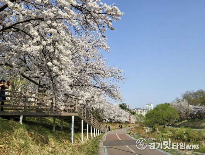 성남시, 벚꽃길 명소 9경