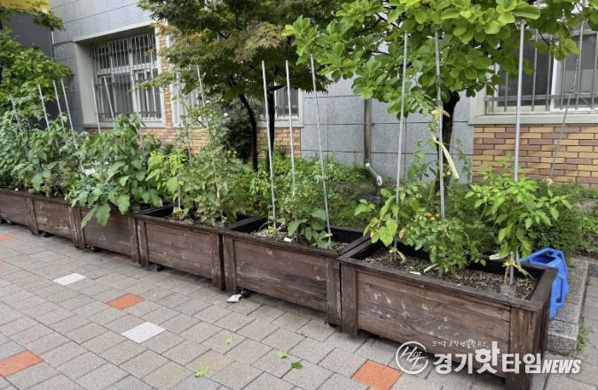 수원시 장안구, 초등학교 대상 새싹텃밭 조성 지원