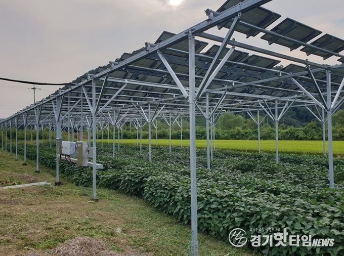 파평면 덕천리 스마트팜 영농형태양광 시설