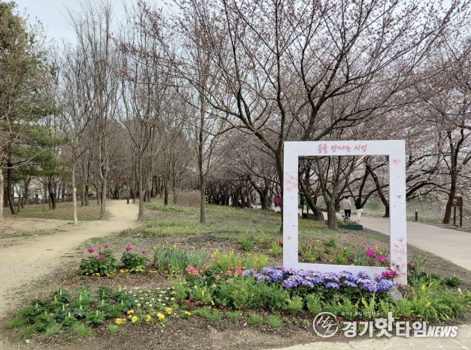수원시 권선구 황구지천 산책로, 다채로운 꽃길과 벚꽃 포토존으로 주민 맞이