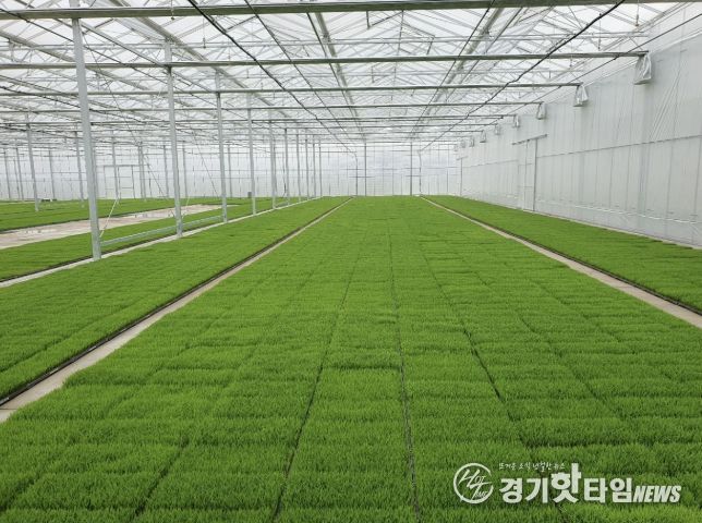 고품질 여주쌀 생산을 위한 볍씨소독 및 적기 못자리 설치