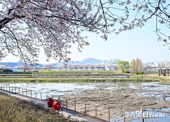 아름다운 우리 시흥시_연꽃테마파크