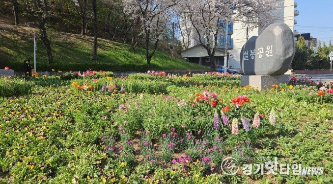 이천시, 설봉공원 봄맞이 초화류 식재 완료